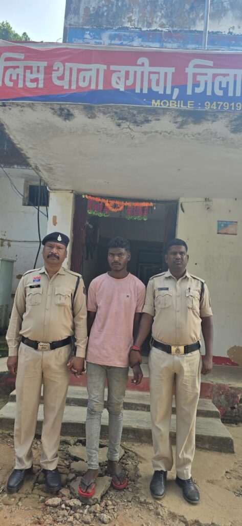 नाबालिक बालिका से छेड़छाड़ कर, मारपीट करने वाले आरोपी को पुलिस ने किया गिरफ्तार 1 1001627487